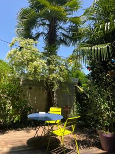 deux chaises jaunes, une table et un palmier dans l'établissement Mirabelle Second, à Bagnères-de-Bigorre 35 autres photos