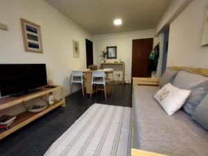 a living room with a couch and a tv and a table at Amado Sur Apartment in San Carlos de Bariloche