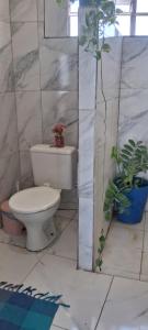 a bathroom with a toilet and a potted plant at Vistamar Arco das Flores in Taíba