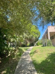 Κήπος έξω από το STUDIO Saint-Florent