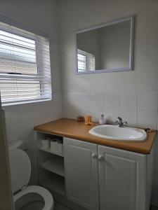 a bathroom with a sink and a toilet and a mirror at Seaside Sanctuary in Vosburg +5 photos