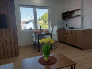 Kuchyň nebo kuchyňský kout v ubytování Apartments Anchor Pestani