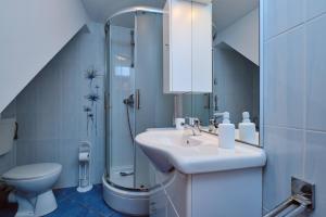 a bathroom with a sink and a shower and a toilet at Mario in Martinšćica +8 photos