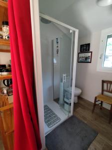bagno con doccia e tenda rossa di Le petit nid dans les bois a Castres-Gironde Altre 10 foto
