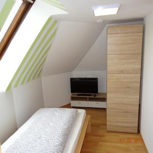 TV a/nebo společenská místnost v ubytování Hotel Einstein