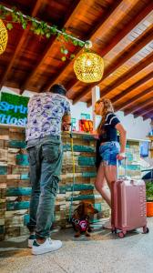 Ospiti di Spring Hostel
