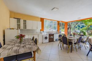 a kitchen and dining room with tables and chairs at Mijailovic apartmani PARKING WI FI AIR CONDITION FREE in Kaluđerac