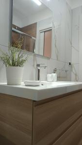 a bathroom with a sink and a potted plant at Trekking House B&B-Vicino al Tribunale di Nocera Inferiore - in Nocera Inferiore