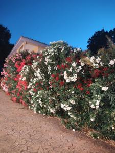 Vonkajšia záhrada v ubytovaní Hotel Rural Xerete