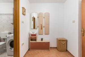 Vannituba majutusasutuses Apartma Edi