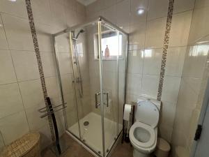 ein Bad mit einer Duschkabine und einem WC in der Unterkunft Santa Eulália Terrace in Albufeira + 9 Fotos