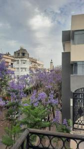 Zahrada ubytování room - in the city center + 8 fotografií