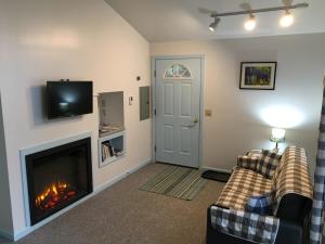 a living room with two couches and a fireplace at Young Cottage in Norway