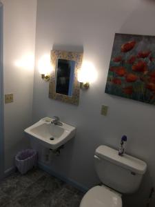 a bathroom with a toilet and a sink at Young Cottage in Norway