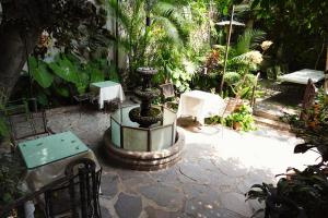 Un jardín fuera de Enjoy AC in the Queen's Suite at Inn Ajijic