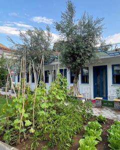 オルデニズにあるSunmed Lodgeのギャラリーの写真 +25枚の写真