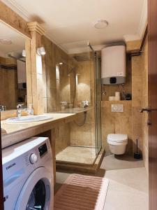 a bathroom with a toilet and a washing machine at Apartmani Vila Zabljak in Žabljak +51 photos