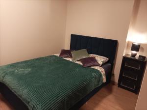 Solidarnosci155GuestRooms في وارسو: غرفة نوم بسرير وبطانية خضراء ومخدات