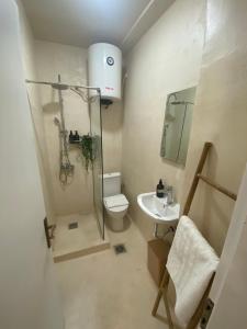 a bathroom with a shower and a toilet and a sink at Eraora Lofts & Appartments Kefalonia in Lakithra +8 photos