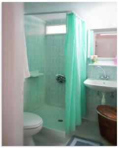 e bagno con doccia, servizi igienici e lavandino. di Georgios Milos ad Adámas