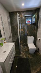 a bathroom with a toilet and a shower and a sink at Casa Draga in Radovići