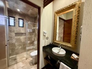 a bathroom with a toilet and a sink and a shower at Hotel Arista 1026 in San Luis Potosí +53 photos