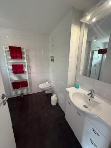 ブライザッハ・アム・ラインにあるVilla Auroraの洗面台とトイレを備えた白いバスルーム