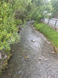 Ảnh trong thư viện ảnh của Casa Stefania ở Văleni