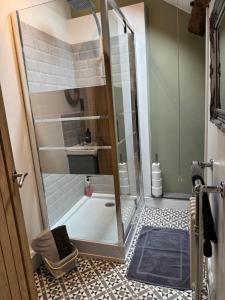 a shower with a glass door in a bathroom at Abbey Cottage in Llangollen +23 photos
