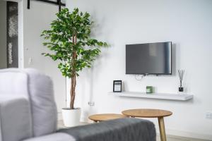 een woonkamer met een bank en een tv bij Azores Black Mountain House, Estúdio e T2 Ilha do Pico in São Roque do Pico