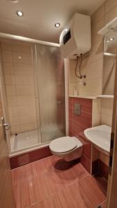 a bathroom with a shower and a toilet and a sink at Dijana in Makarska