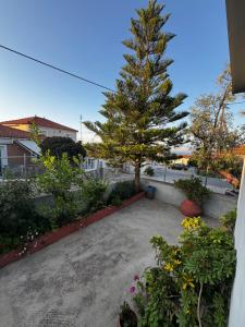 a pine tree in a garden with flowers and plants at Calm house in Nees Kidonies