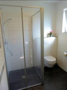 a bathroom with a glass shower and a toilet at Hempen Fied Gästehaus - Apartment 4 in Bad Zwischenahn