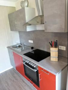 a small kitchen with a stove and a sink at Hempen Fied Gästehaus - Apartment 4 in Bad Zwischenahn