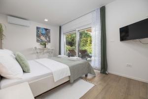 TV i/ili zabavni centar u objektu Studio Apartment Rosa Krk