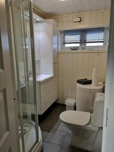 a small bathroom with a toilet and a shower at Amazing Sea House in magic Lofoten in Vestvågøya