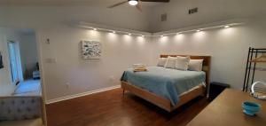1 dormitorio con 1 cama con luces en la pared en Swiss Bliss, en Clermont