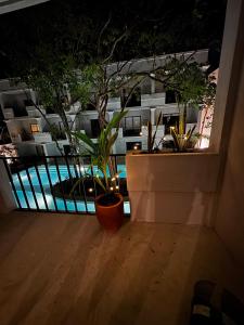 Basen w obiekcie Tulum Jungle loft with Pool and rooftop near Beach and Cenotes and dowtown! Fast WiFi! Perfect for Expats lub w pobliżu