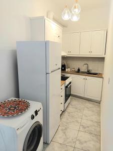 a kitchen with a white refrigerator and a washing machine at Eraora Lofts & Appartments Kefalonia in Lakithra