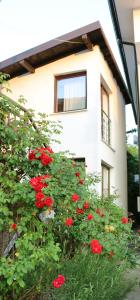 En have udenfor Buba Apartment