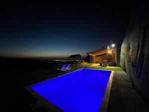 Πισίνα στο ή κοντά στο Kocaeli Başiskele Havuzlu Villa +11 φωτογραφίες
