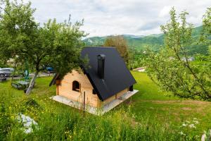 a small house with a black roof on a green field at Wolf's PEAK in Kolašin +8 photos