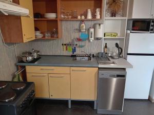 a small kitchen with a white refrigerator and a sink at Apartamentai KINTAI in Kintai