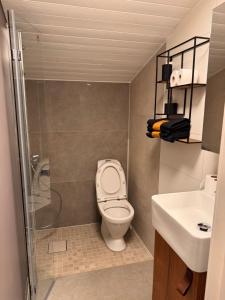 Koupelna v ubytování The Oslo Cabin