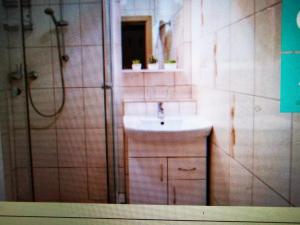 a bathroom with a sink and a shower at Retai Edit Szieszta in Hajdúszoboszló