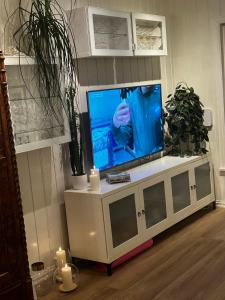 TV a/nebo společenská místnost v ubytování Lade - Aqua Nor 2025 - inntil 7 personer