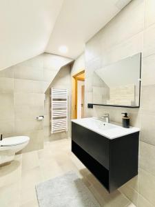 un bagno con lavandino e specchio di Duplex cosy proche Gérardmer a Le Tholy