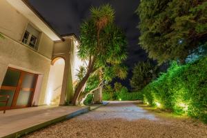a house with a palm tree next to a driveway at Villa Yucca - B&B and Glamping in Torano Nuovo