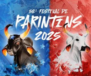 a book with a picture of an elephant and a cow at Temporada Bovina in Parintins