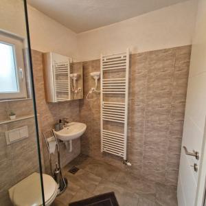 a bathroom with a toilet and a sink at Villa Natasa near Plitvice for 15 persons in Vrhovine +21 photos